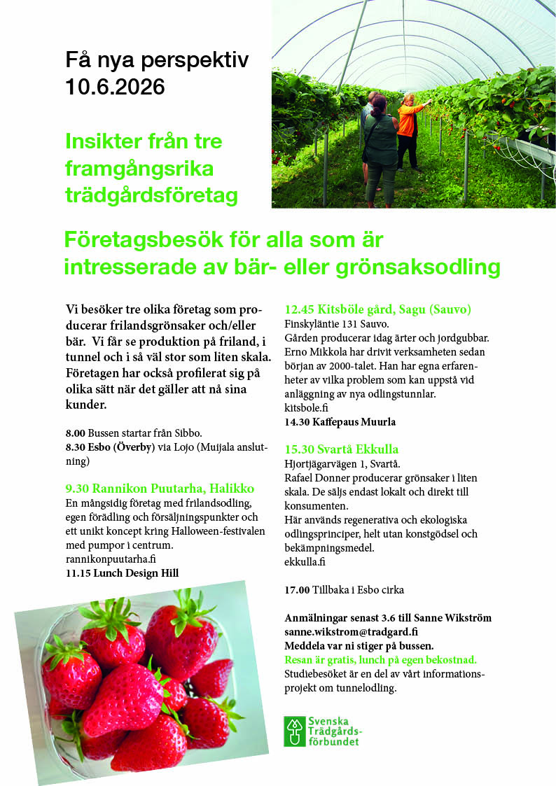 Studiebesök 10.6
